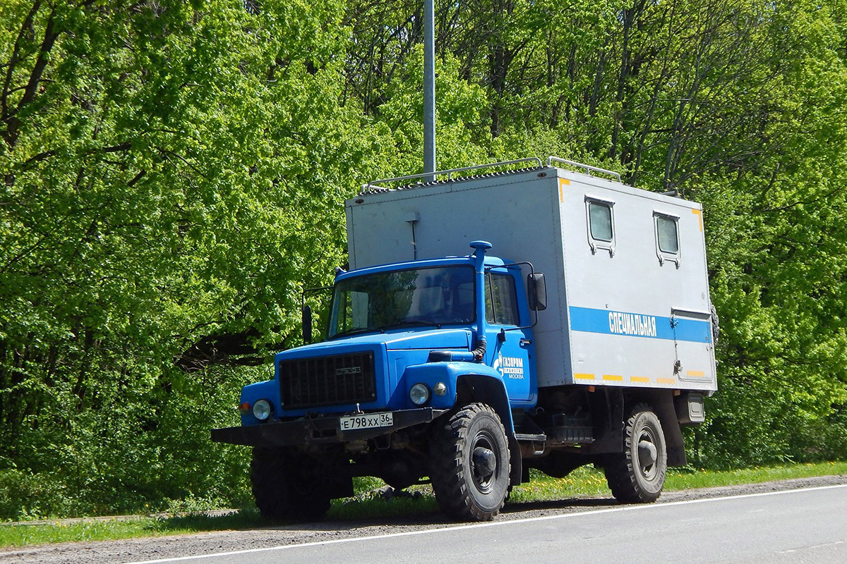 Воронежская область, № Е 798 ХХ 36 — ГАЗ-33081 «Садко»