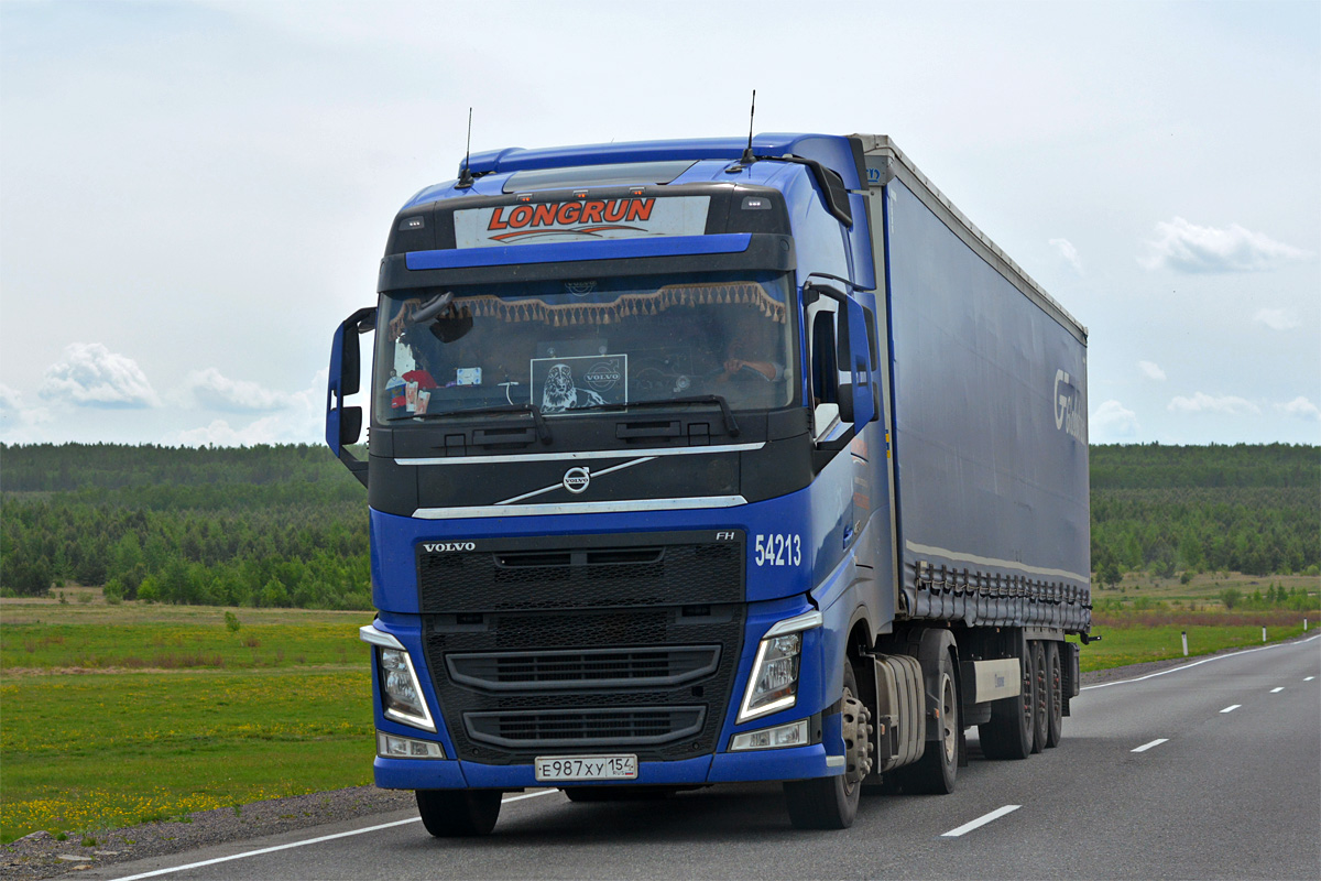 Новосибирская область, № 54213 — Volvo ('2012) FH.420