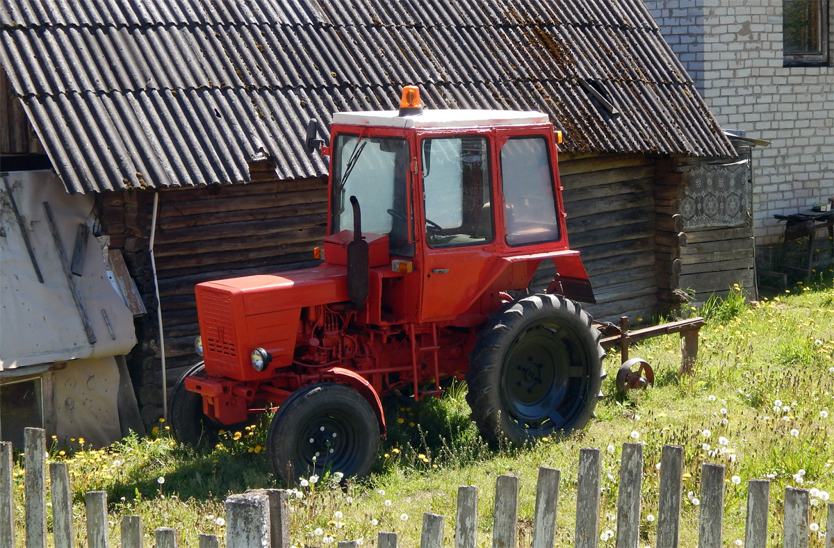 Витебская область, № IB-2 5529 — Т-25/Т-30