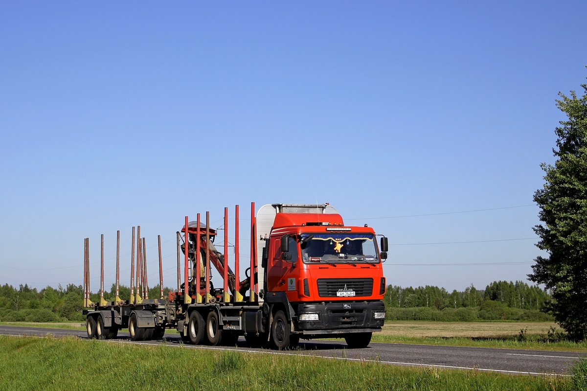 Могилёвская область, № АК 2648-6 — МАЗ-6312 (общая модель)