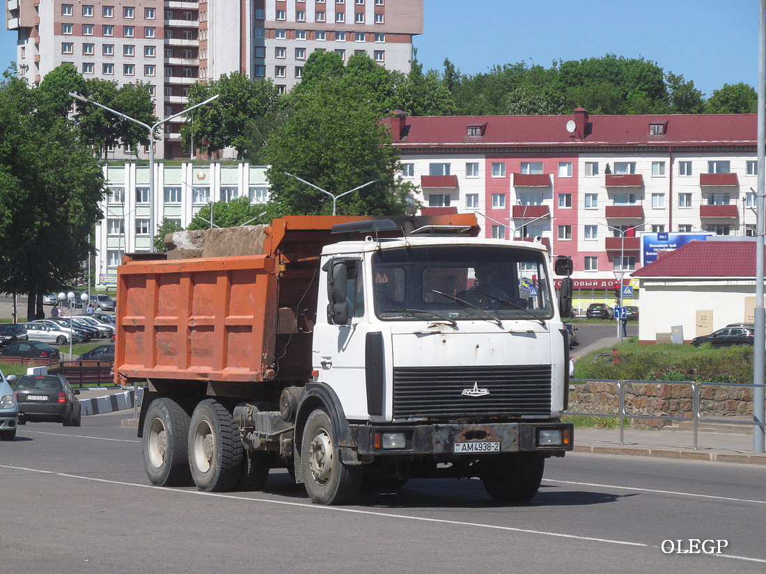 Витебская область, № АМ 4938-2 — МАЗ-5516 (общая модель)