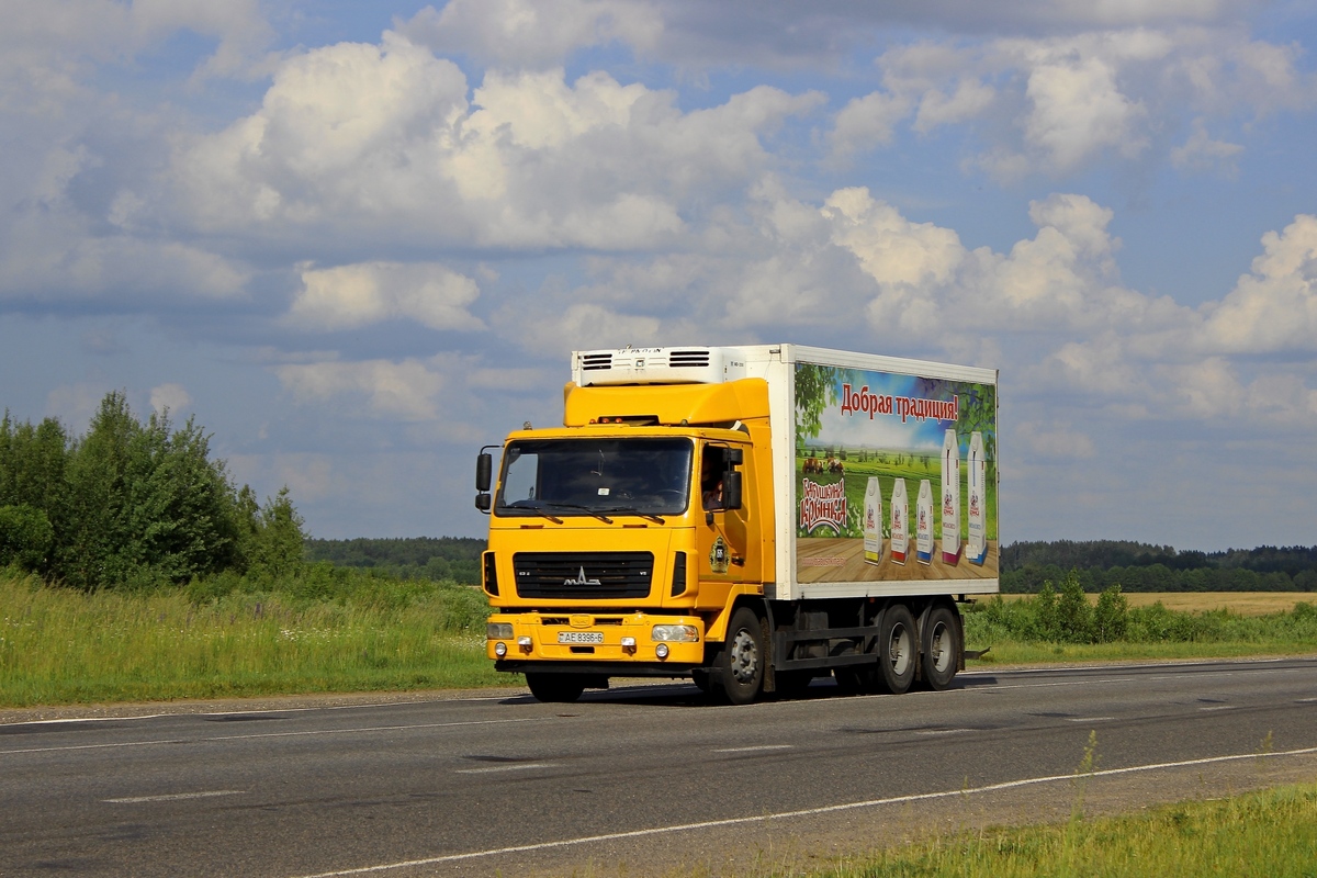 Могилёвская область, № АЕ 8396-6 — МАЗ-6312 (общая модель)