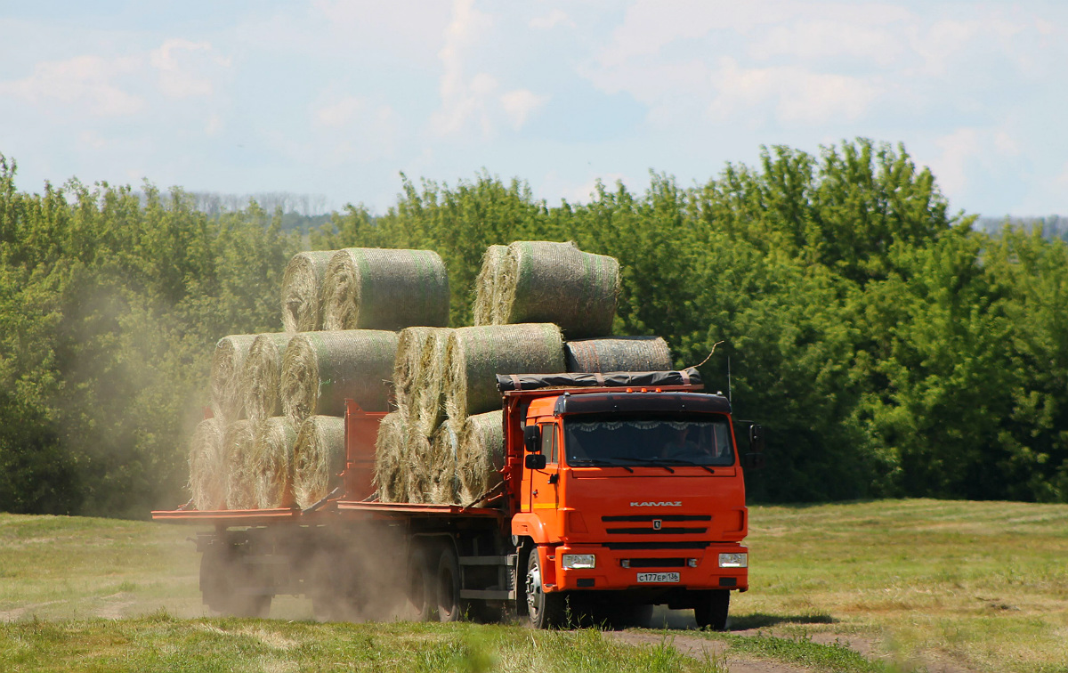 Воронежская область, № С 177 ЕР 136 — КамАЗ-65115-50