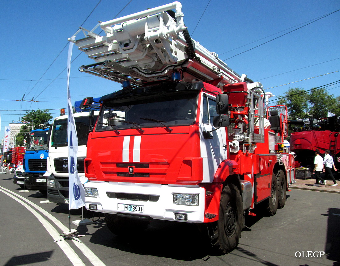 Витебская область, № IМ ВР 8901 — КамАЗ-43118 (общая модель)