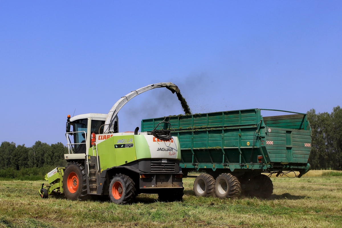 Могилёвская область, № ТВ-6 7928 — Claas Jaguar (общая модель)