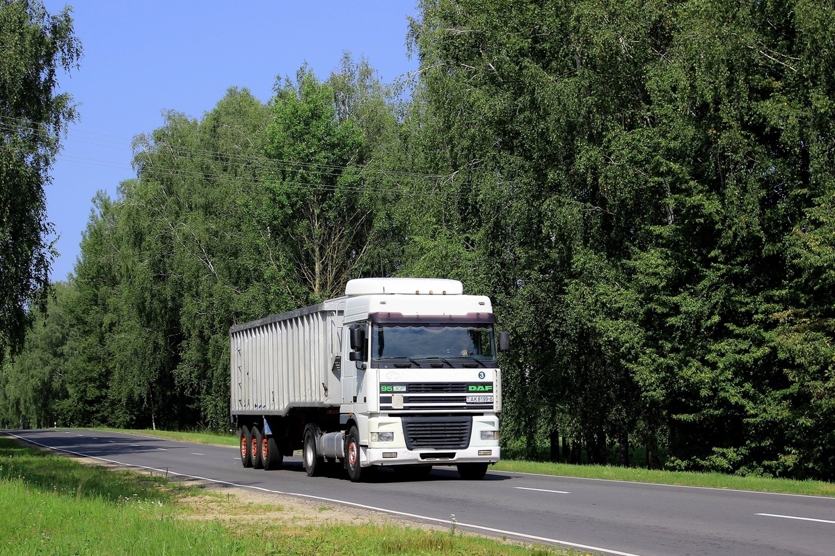 Могилёвская область, № АК 8199-6 — DAF 95XF FT