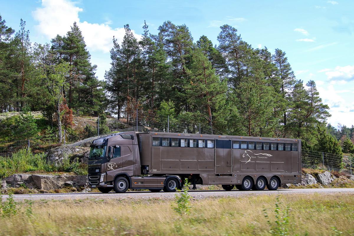 Ирландия, № 132-MH-581 — Volvo ('2012) FH.460