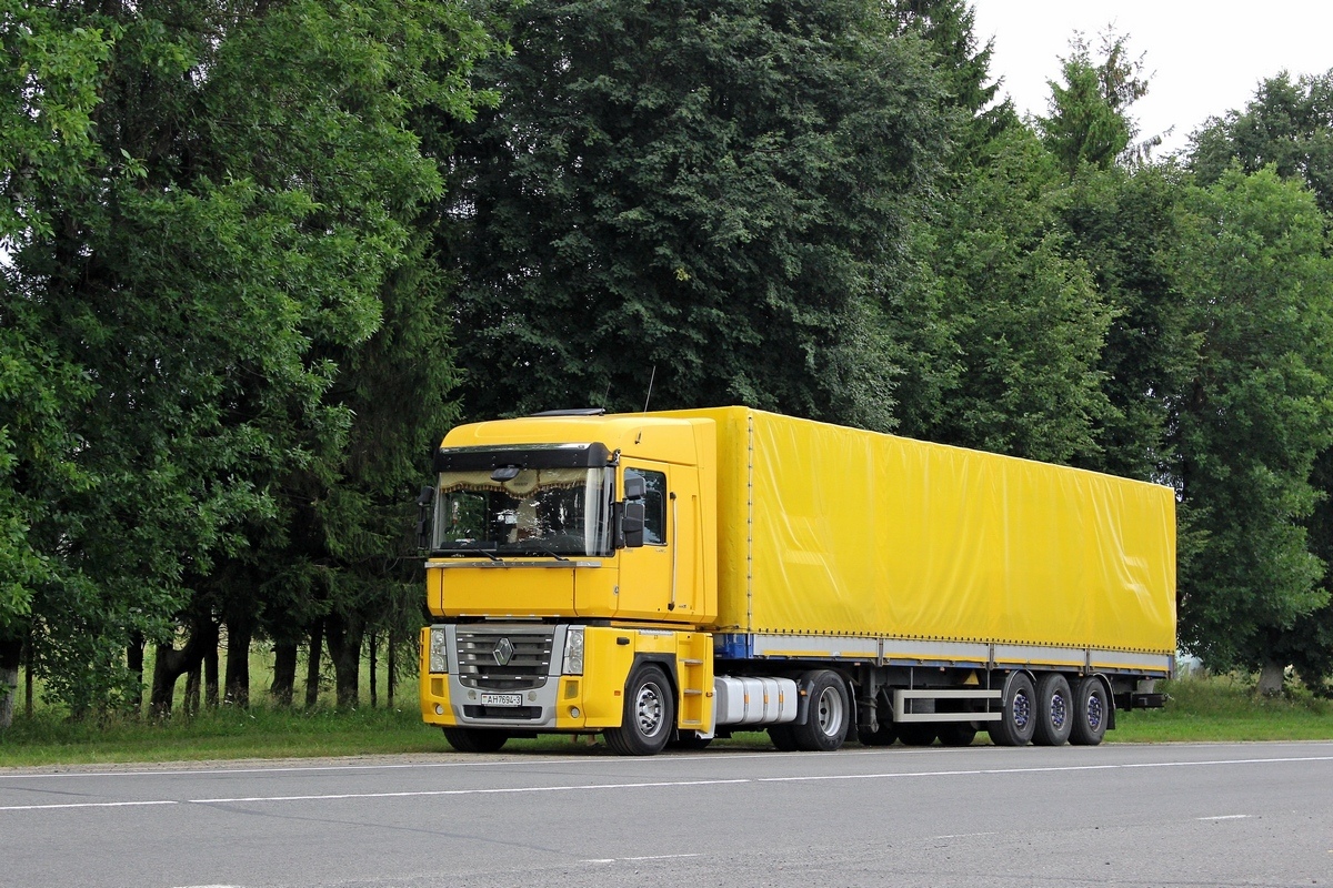 Гомельская область, № АН 7694-3 — Renault Magnum ('2008)