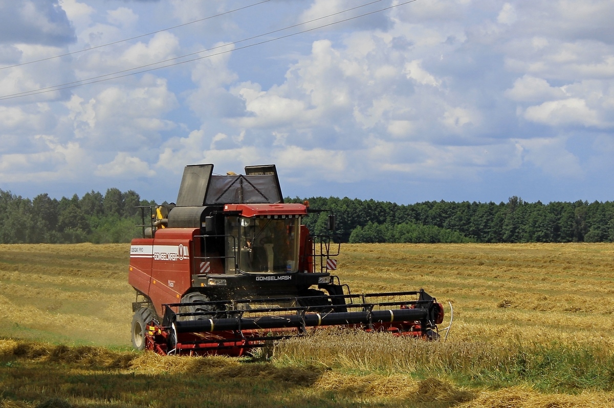 Могилёвская область, № ТК-6 3527 — КЗС-1218А-1 "Палессе GS12A1"