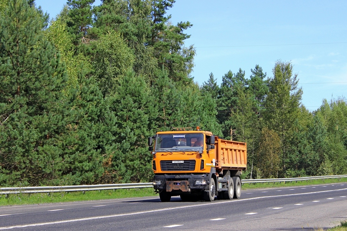 Могилёвская область, № АК 8604-6 — МАЗ-6501 (общая модель)