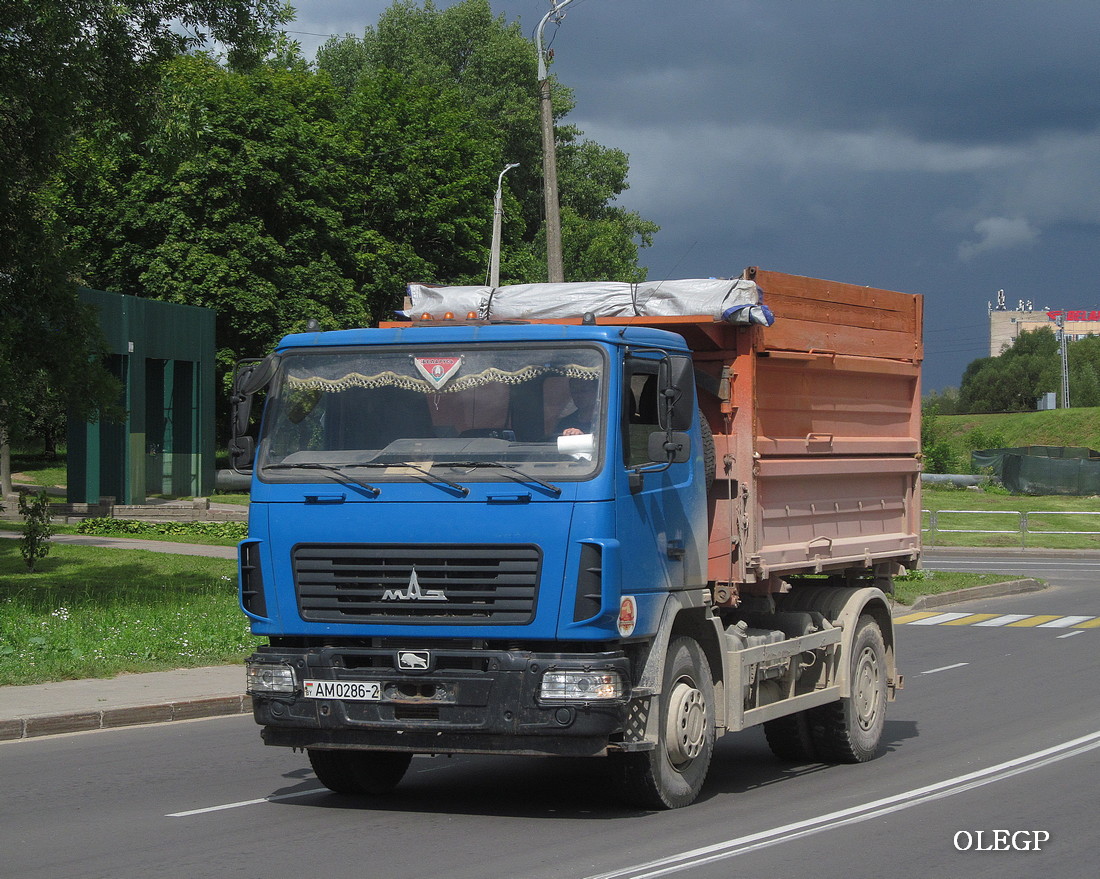 Витебская область, № АМ 0286-2 — МАЗ-5550 (общая модель)