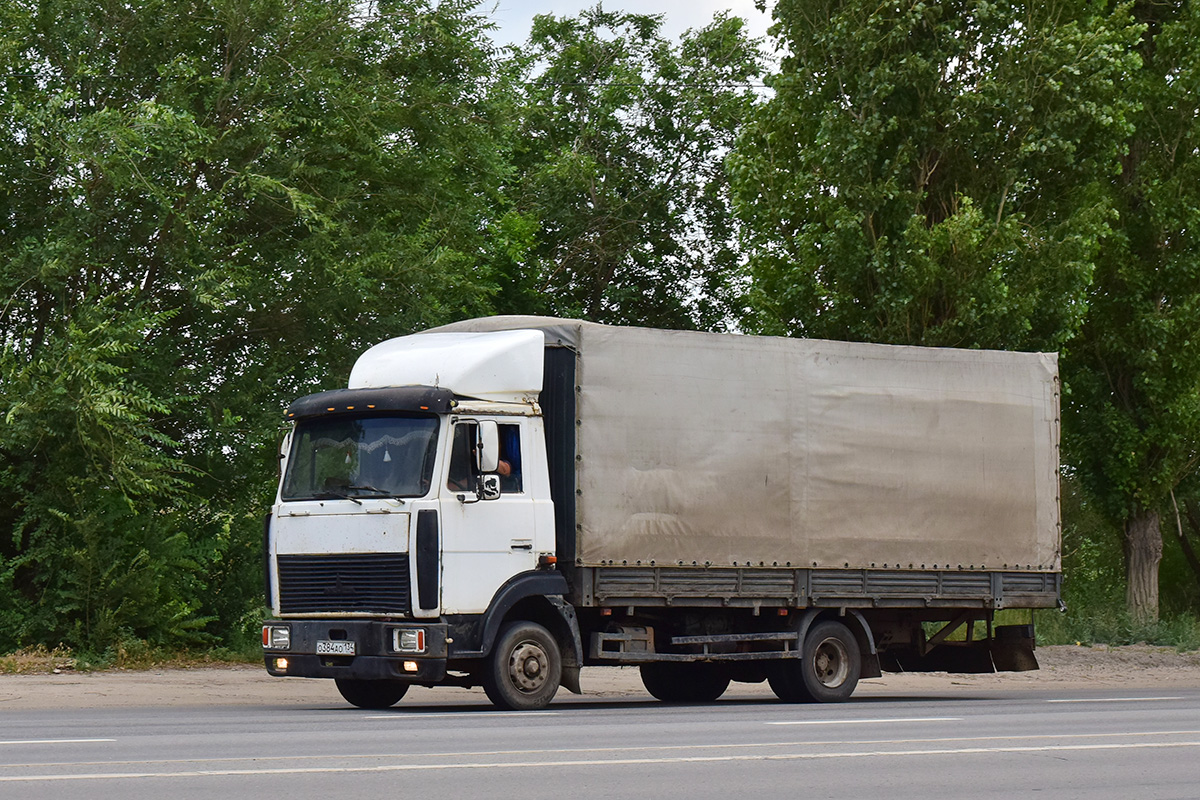 Волгоградская область, № О 384 АО 134 — МАЗ-437040 "Зубрёнок"