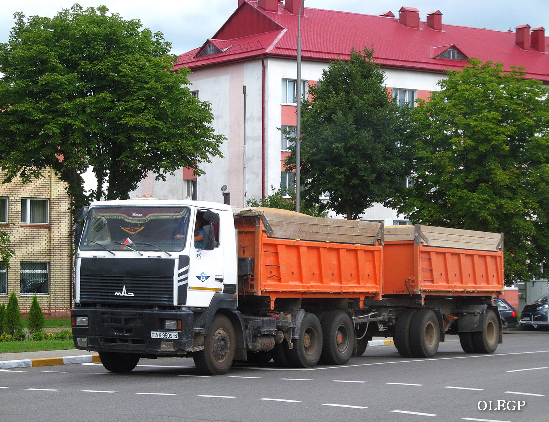 Могилёвская область, № АК 9509-6 — МАЗ-6501 (общая модель)