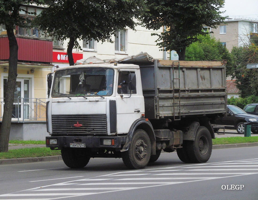 Витебская область, № АМ 5701-2 — МАЗ-5551 (общая модель)