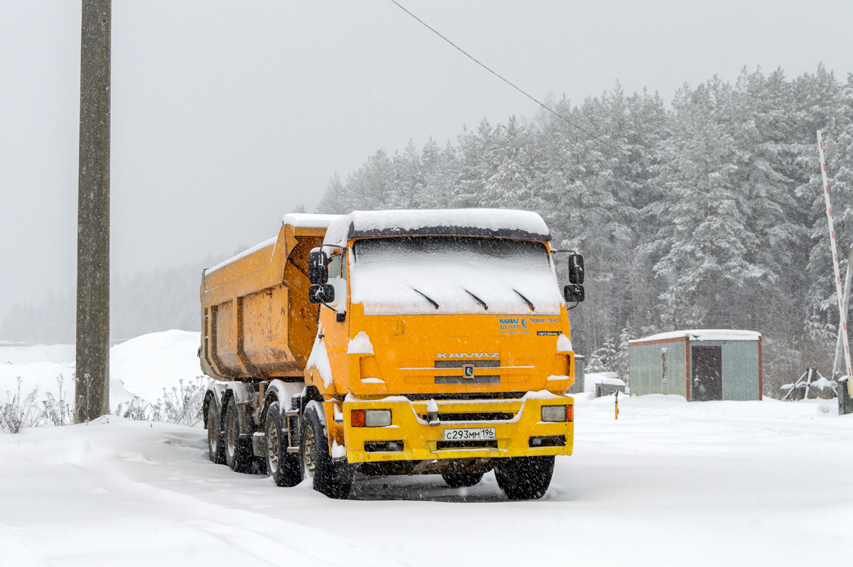 Свердловская область, № С 293 ММ 196 — КамАЗ-65201-63