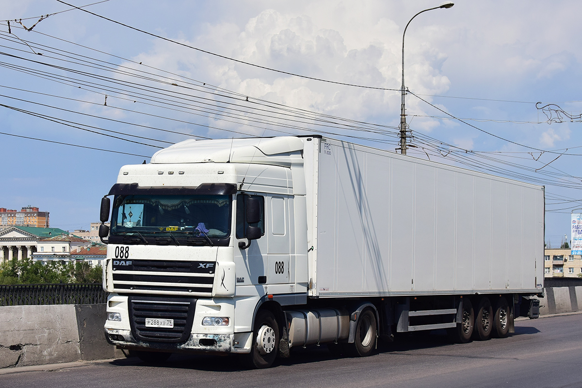 Калининградская область, № Р 288 ХВ 39 — DAF XF105 FT