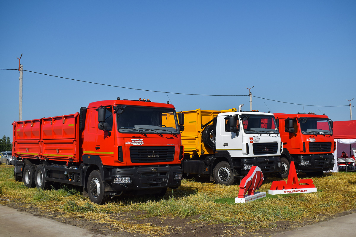 Алтайский край, № (22) Б/Н 0286 — МАЗ-6501 (общая модель); Алтайский край — Выставка "День Сибирского Поля 2024"