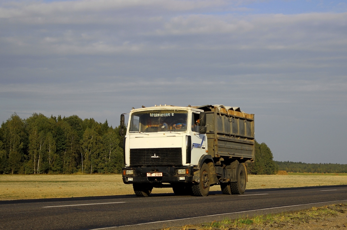 Могилёвская область, № ТВ 2199 — МАЗ-555142