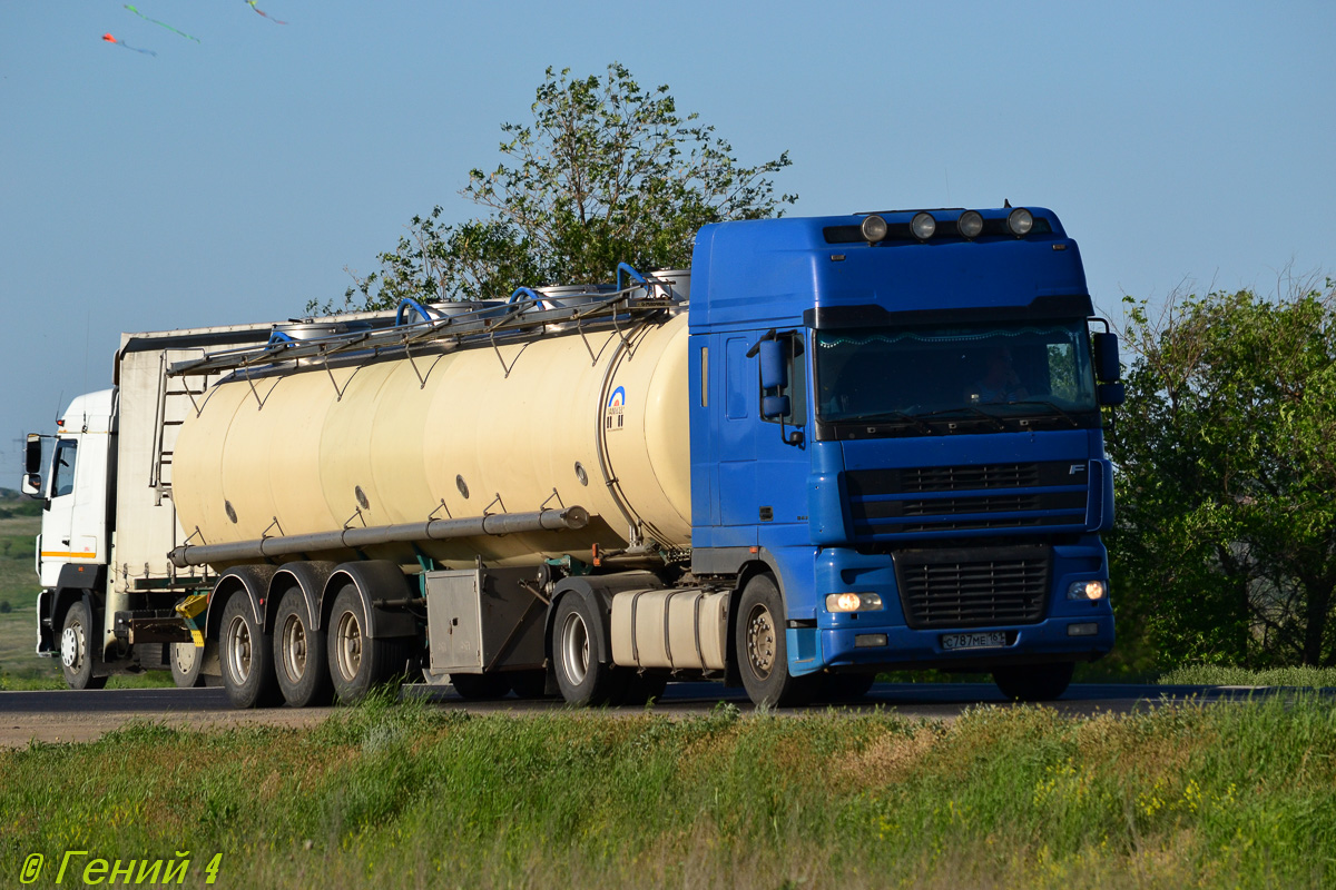 Ростовская область, № С 787 МЕ 161 — DAF XF95 FT