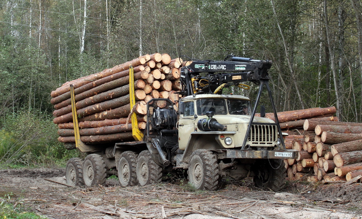 Псковская область, № Е 996 ТУ 60 — Урал-4320-10