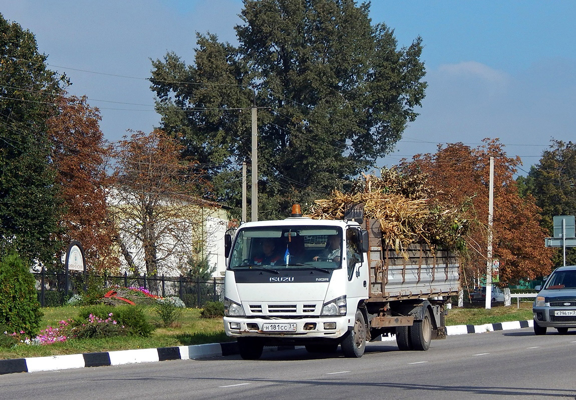 Белгородская область, № Н 181 СС 31 — Isuzu NQR75 [Z7X]