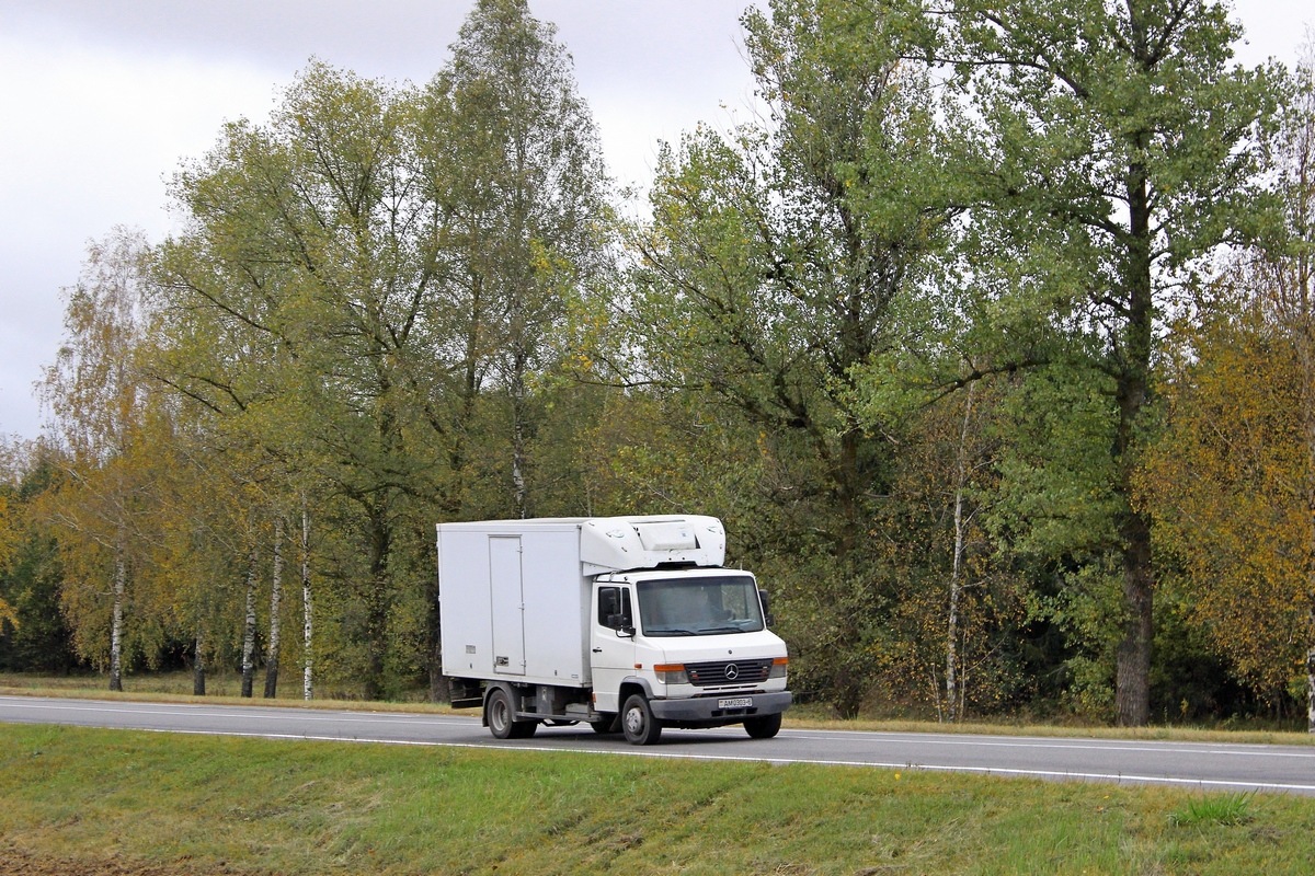 Могилёвская область, № АМ 0303-6 — Mercedes-Benz Vario (общ.м)