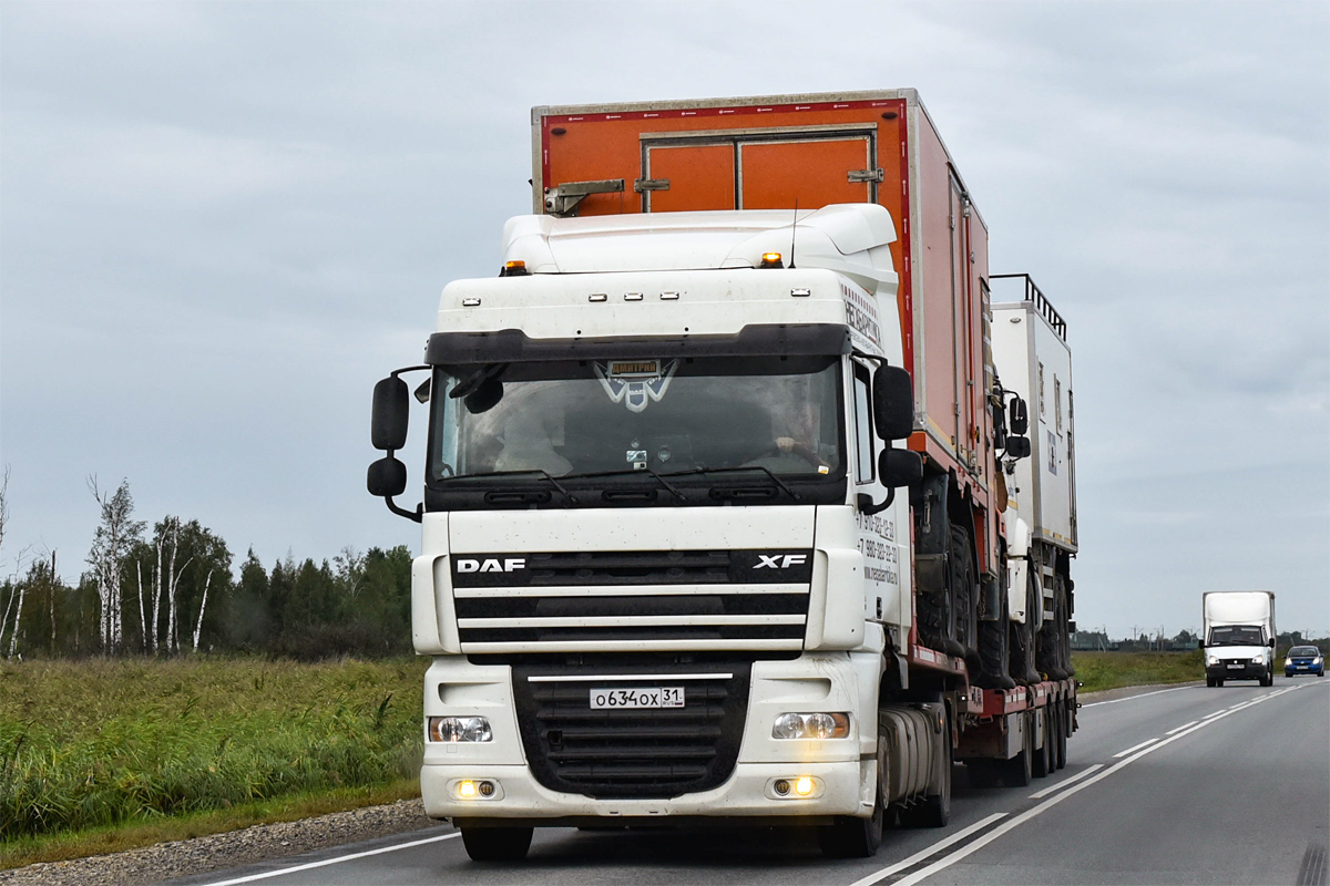 Белгородская область, № О 634 ОХ 31 — DAF XF105 FT