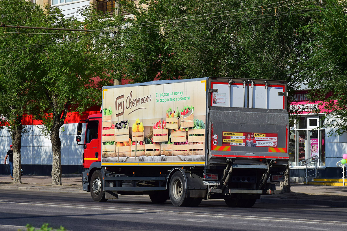 Волгоградская область, № О 238 МН 196 — MAN TGM 18.250