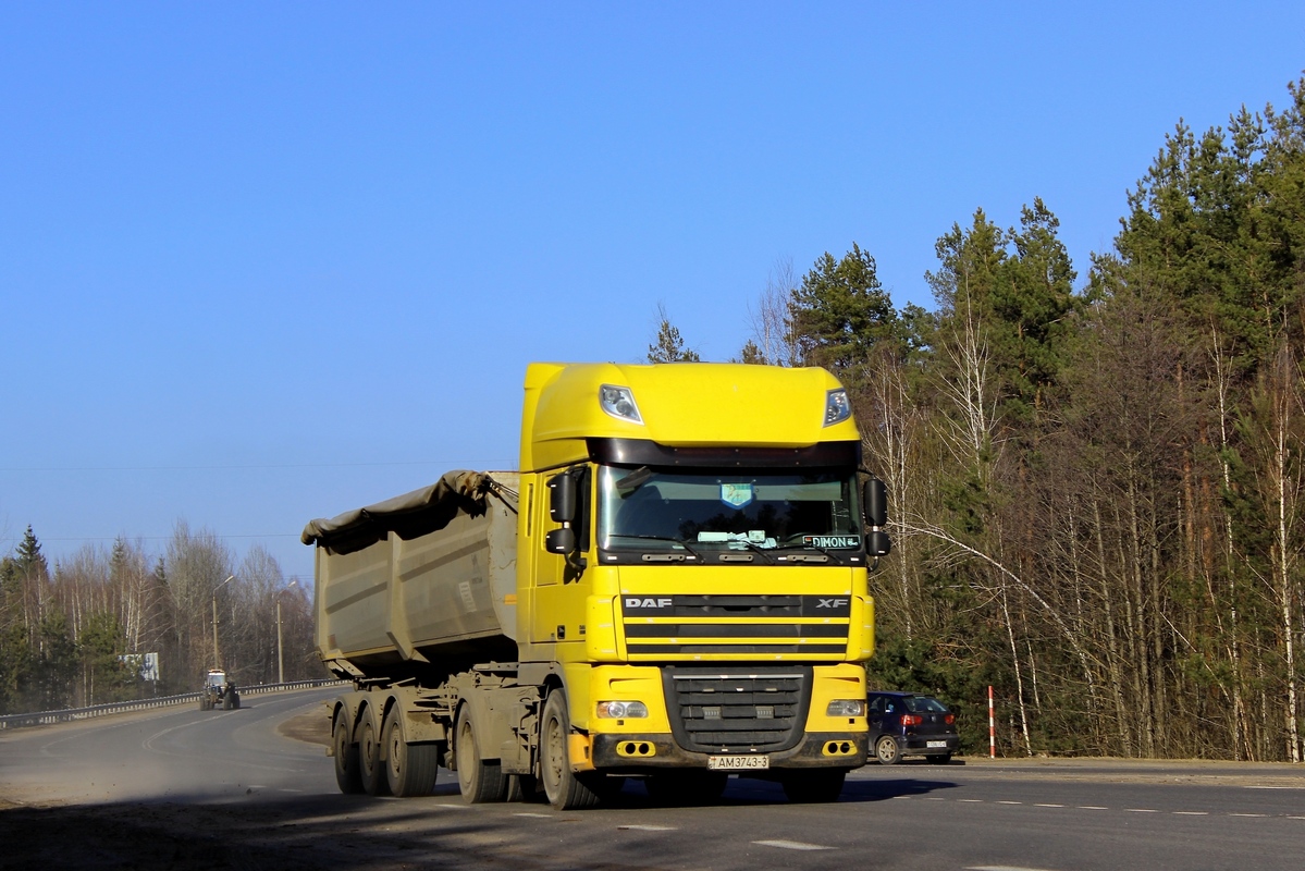 Гомельская область, № АМ 3743-3 — DAF XF105 FT