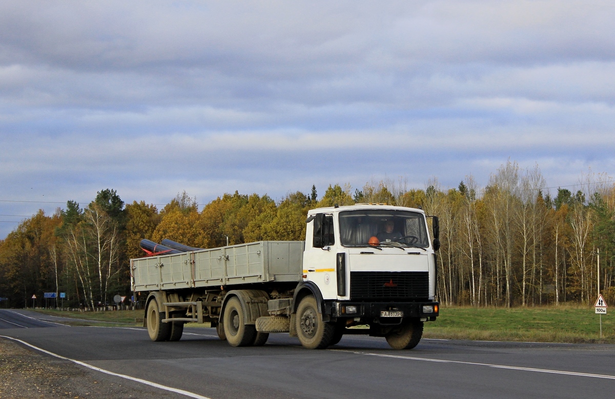 Могилёвская область, № АА 6139-6 — МАЗ-5433 (общая модель)