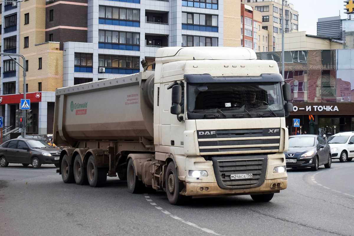 Московская область, № М 246 СА 750 — DAF XF105 FT