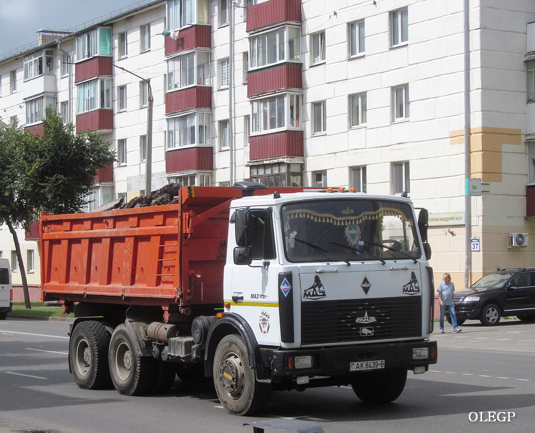 Могилёвская область, № АК 8439-6 — МАЗ-5516 (общая модель)