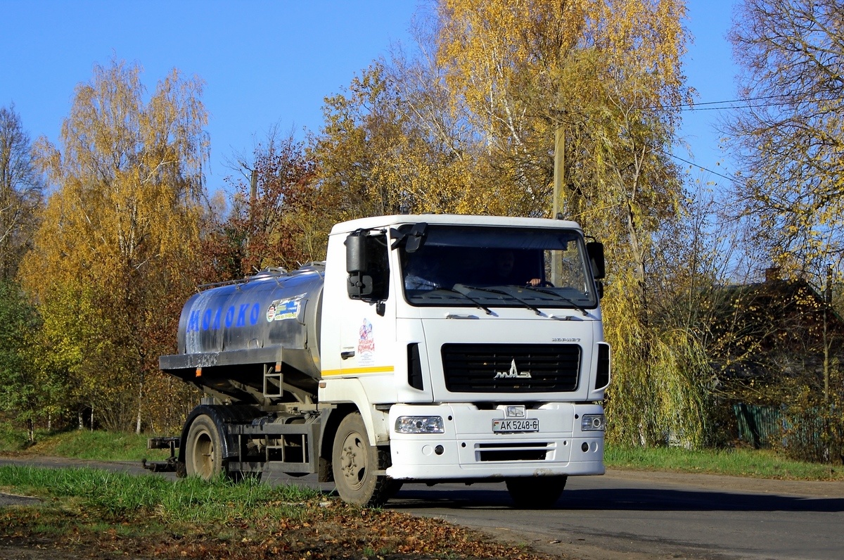 Могилёвская область, № АК 5248-6 — МАЗ-4581