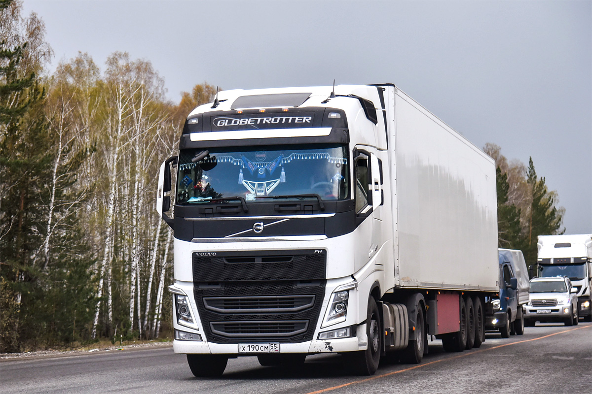 Омская область, № Х 190 СМ 55 — Volvo ('2012) FH.460