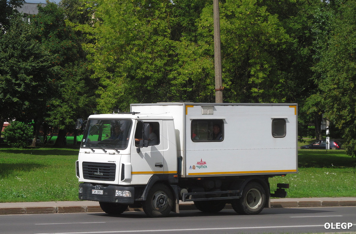 Витебская область, № АК 2806-2 — МАЗ-4571