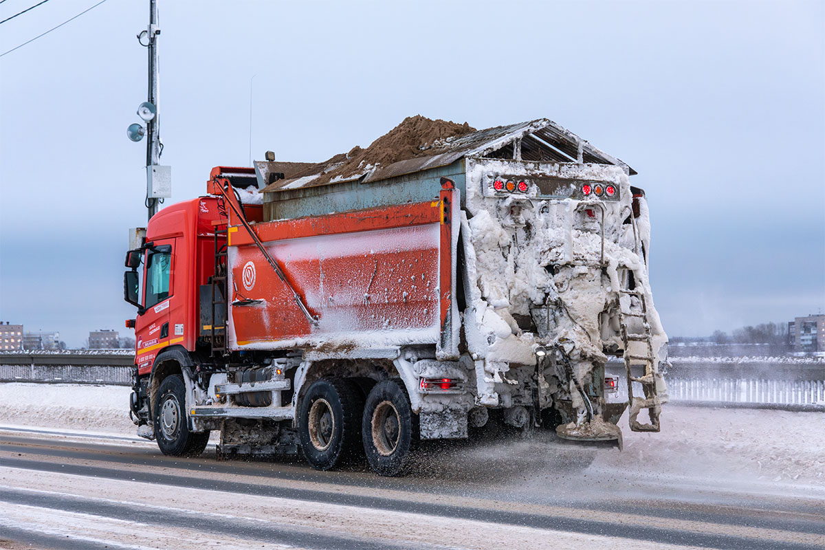 Архангельская область, № О 597 ЕХ 29 — Scania ('2016) P440