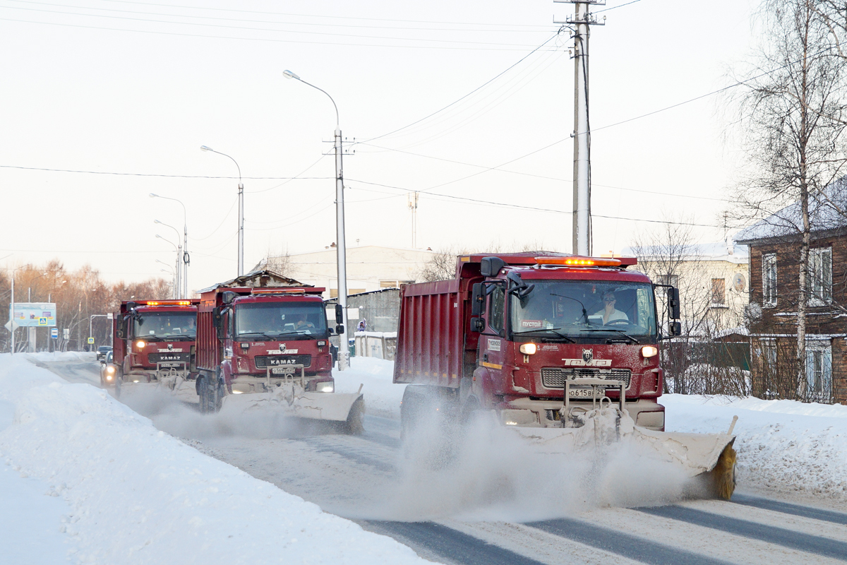 Архангельская область, № О 569 ВН 29 — КамАЗ-6520-53 "Люкс"; Архангельская область, № О 615 ВН 29 — КамАЗ-6520-53 "Люкс"