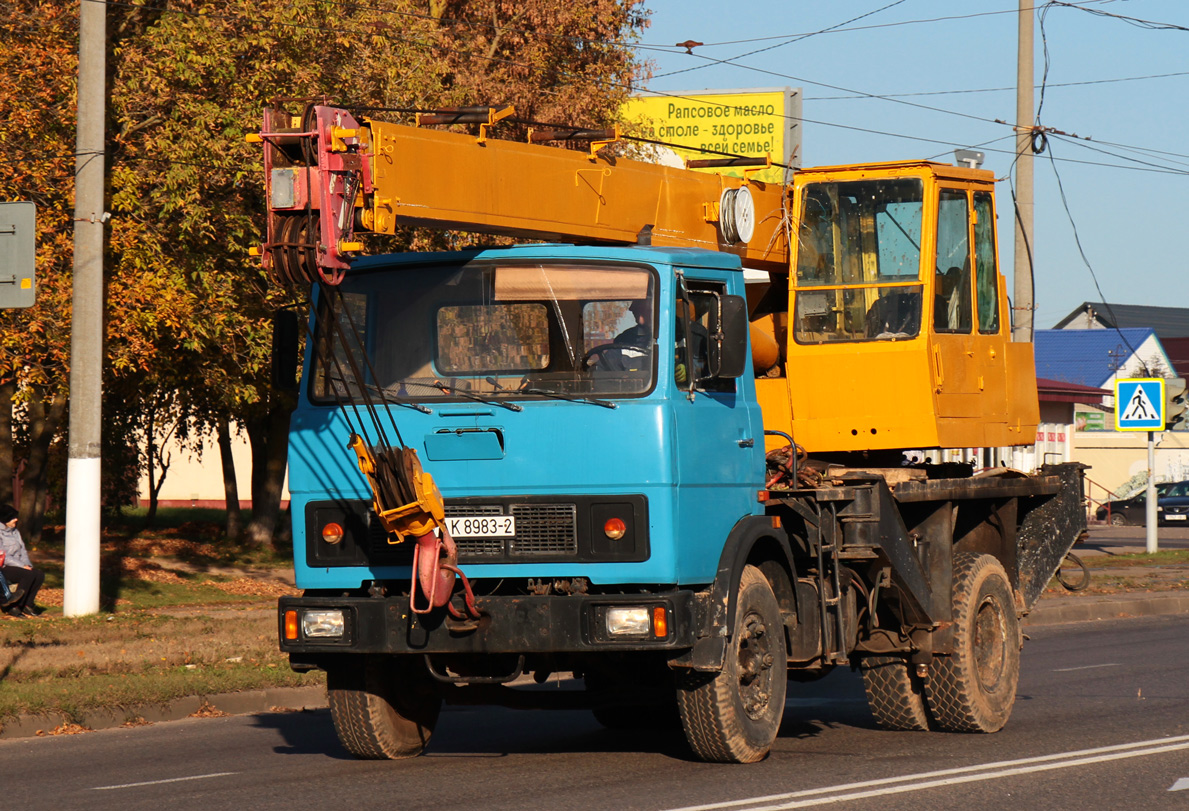 Витебская область, № АК 8983-2 — МАЗ-5337 [533700]