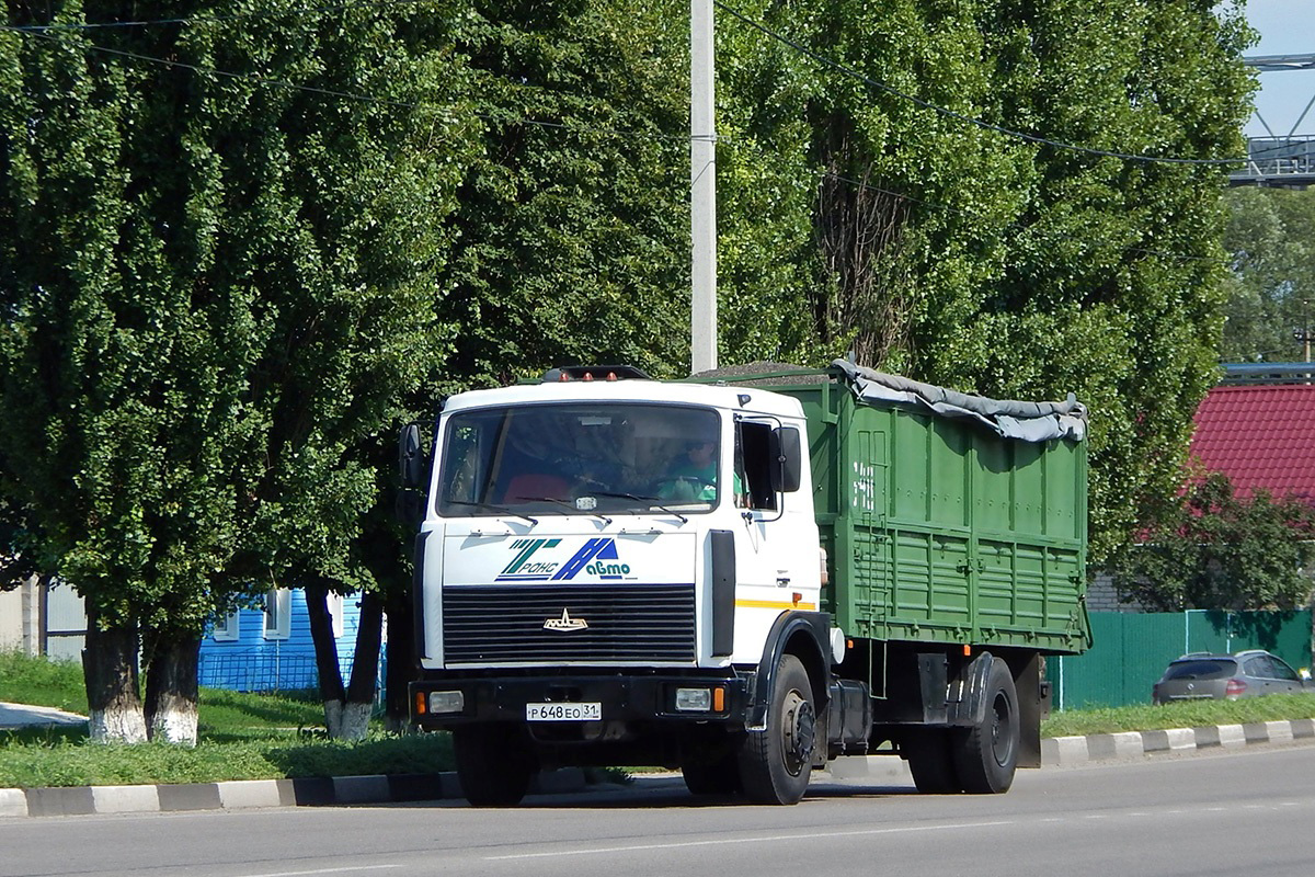 Белгородская область, № Р 648 ЕО 31 — МАЗ-5336A5