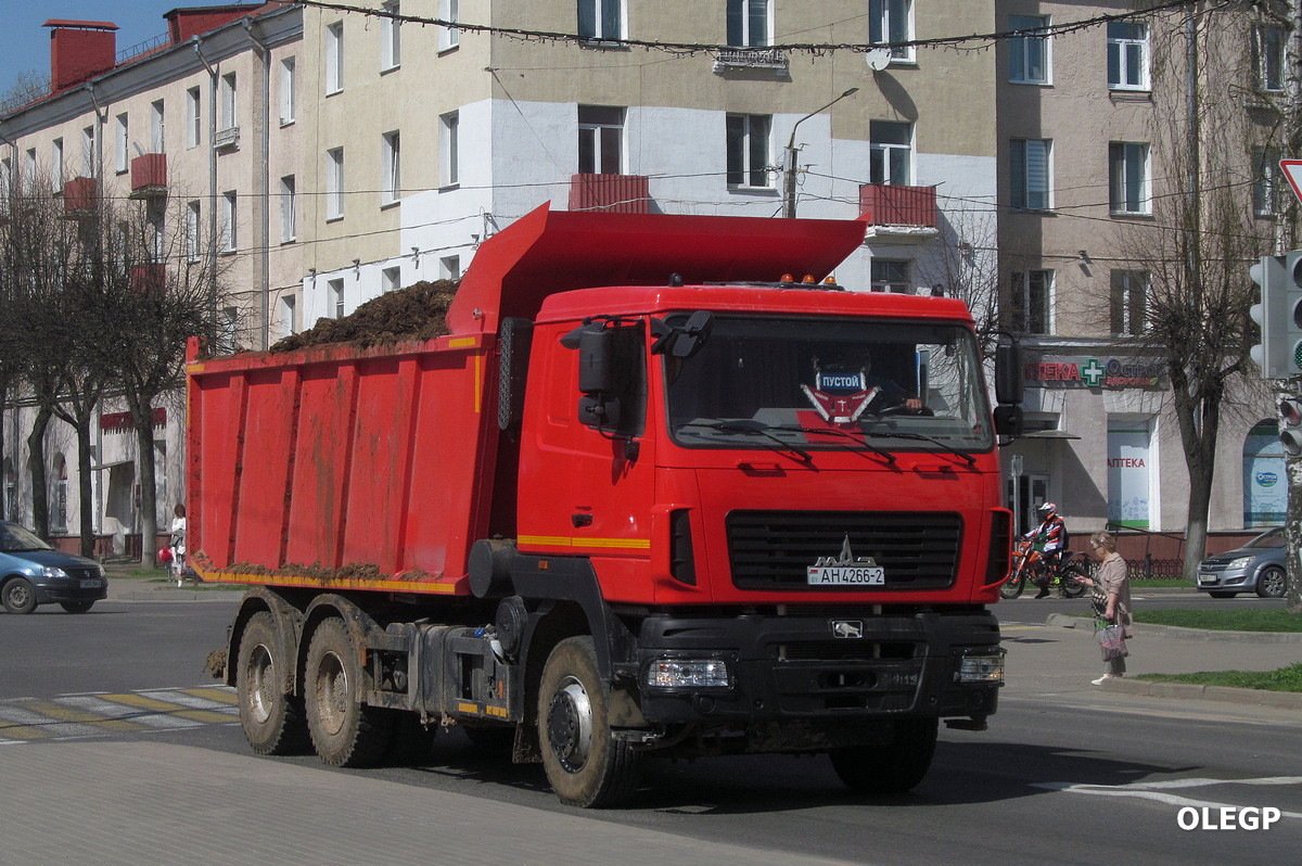 Витебская область, № АН 4266-2 — МАЗ-650128