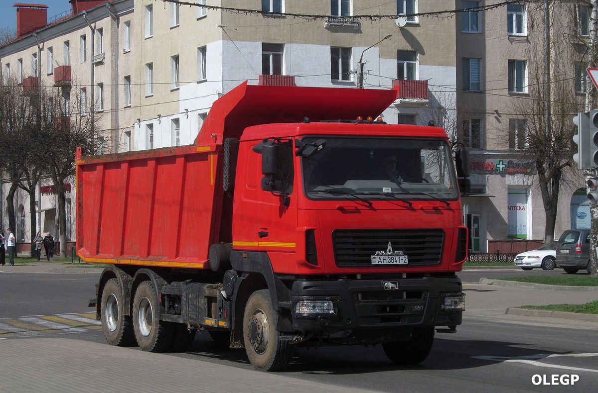 Витебская область, № АН 3841-2 — МАЗ-650128 Витебская область, № АН 3841-2 — МАЗ-650128