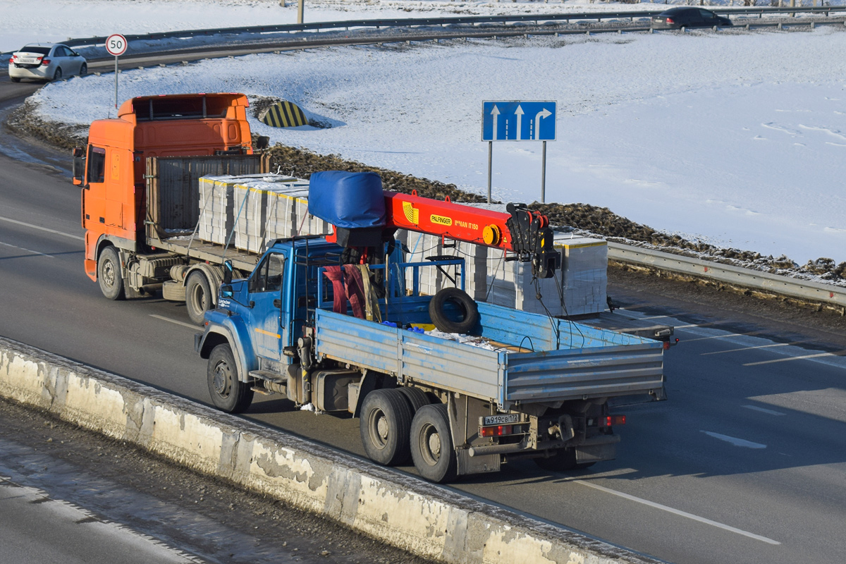Новосибирская область, № А 919 СВ 172 — Урал NEXT 73945