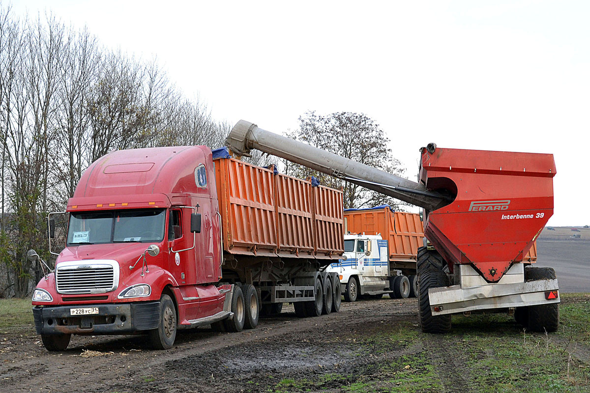 Белгородская область, № Р 228 УС 31 — Freightliner Columbia