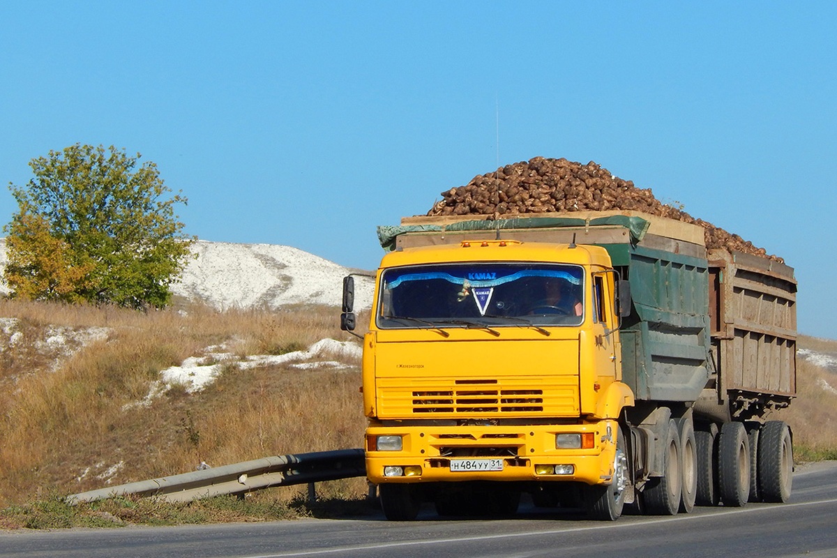 Белгородская область, № Н 484 УУ 31 — КамАЗ-5511