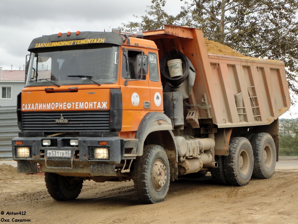 Сахалинская область, № В 531 ТВ 65 — IVECO-УралАЗ-6529