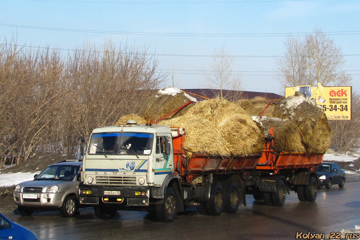 Алтайский край, № А 665 ЕС 22 — КамАЗ-5320