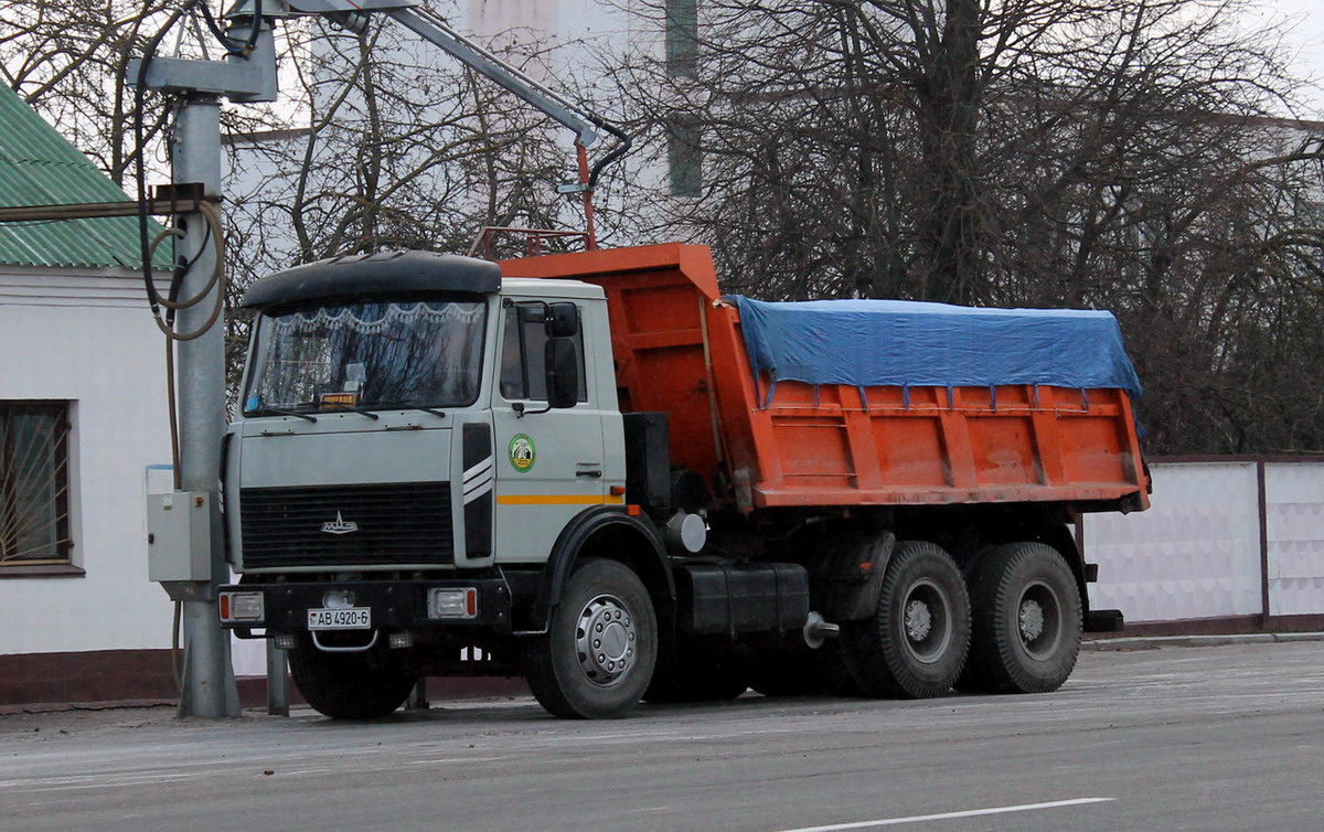 Могилёвская область, № АВ 4920-6 — МАЗ-5516 (общая модель)