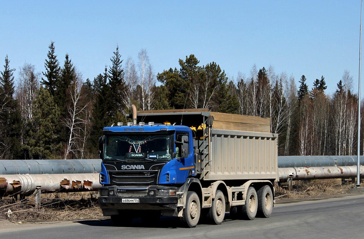 Красноярский край, № А 686 ММ 124 — Scania ('2011) P440