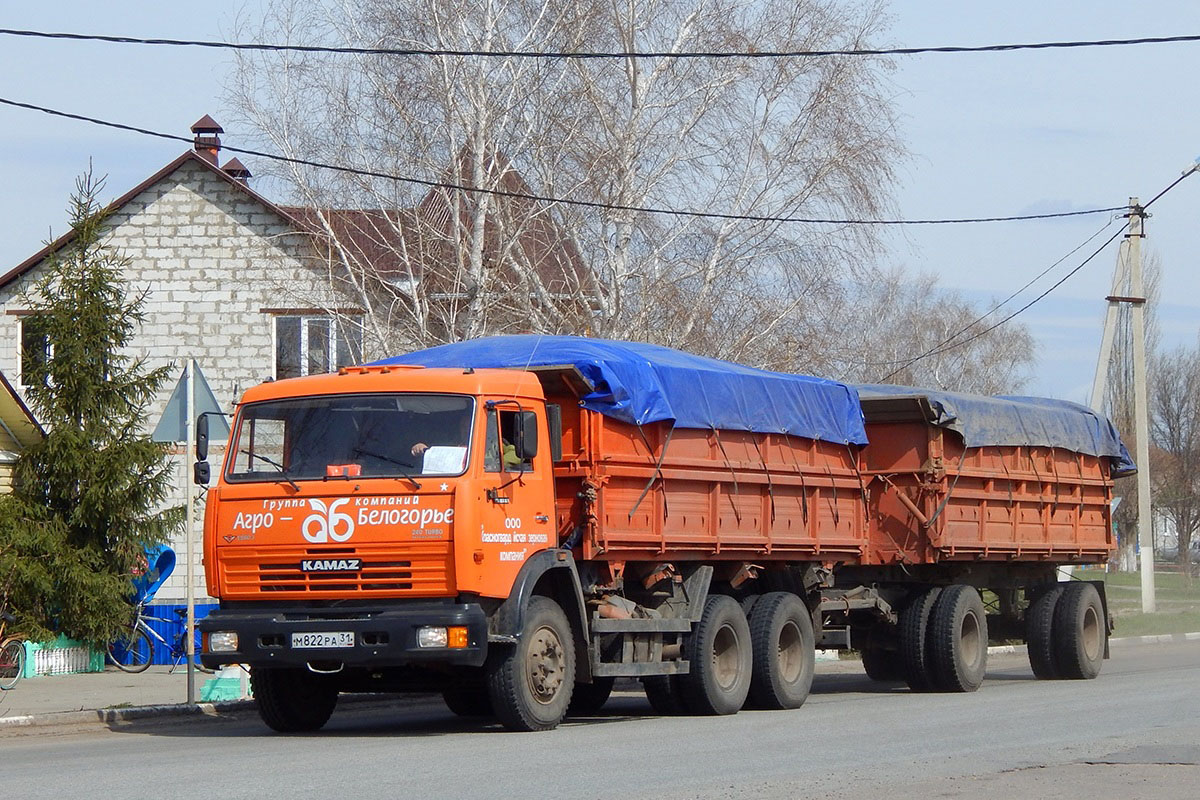 Белгородская область, № М 822 РА 31 — КамАЗ-65115-15 [65115R]