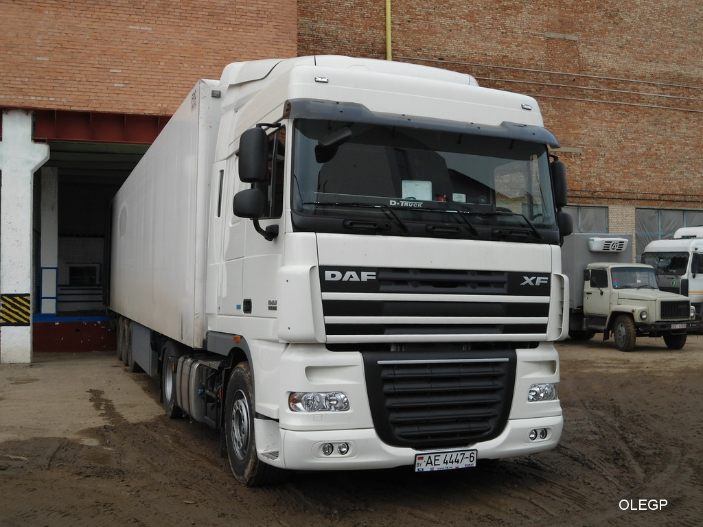 Могилёвская область, № АЕ 4447-6 — DAF XF105 FT